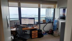 Wallich Residence  (D2), Condominium #592290001